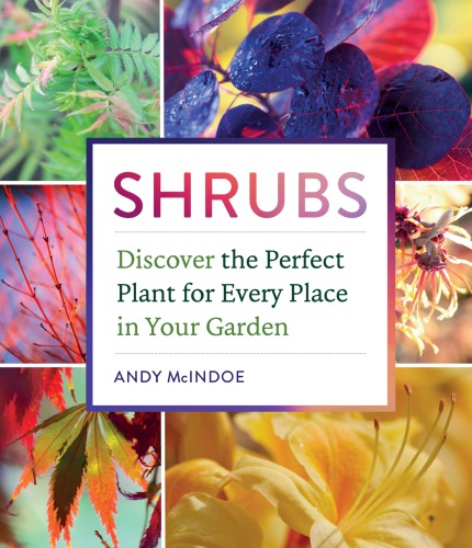 Shrubs Discover The Perfect Plant For Every Place In Your Garden Mcindoe
