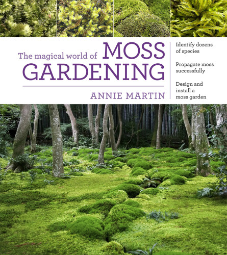 The Magical World Of Moss Gardening Martin Annie