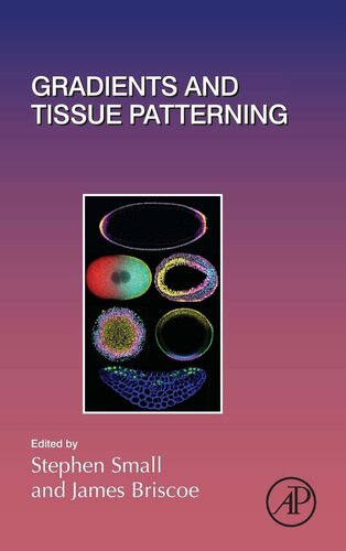 Gradients And Tissue Patterning 1st Edition Stephen Small James Briscoe