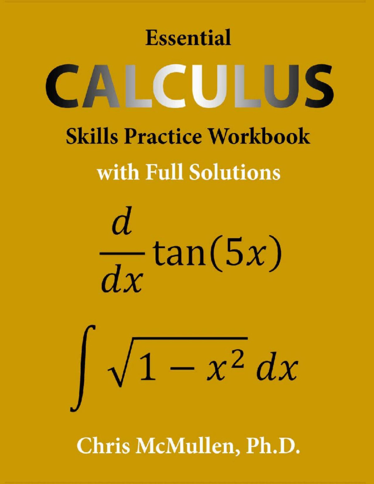 Essential Calculus Skills Practice Workbook With Full Solutions Chris Mcmullen