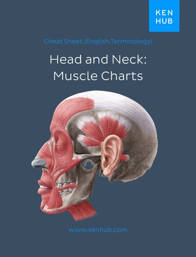 Head Neck Muscle Charts English Terminology Kenhub