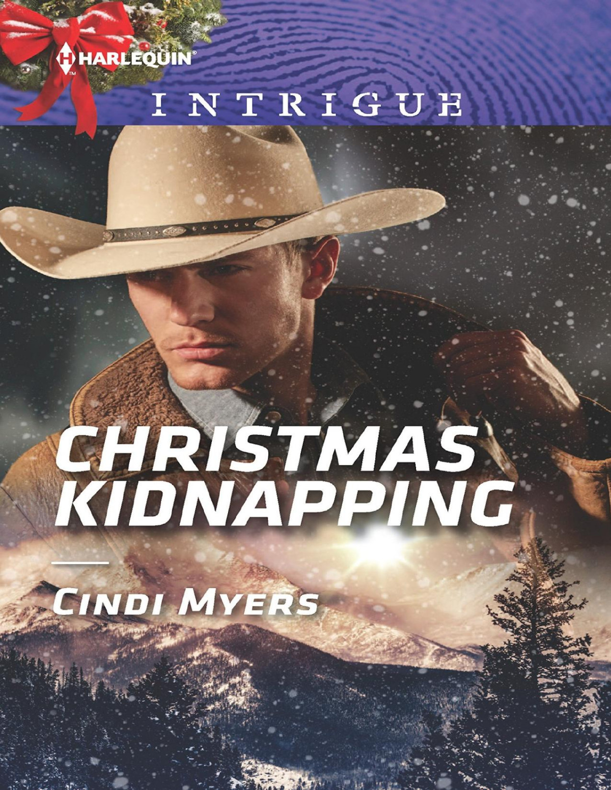 Christmas Kidnapping Cindi Myers