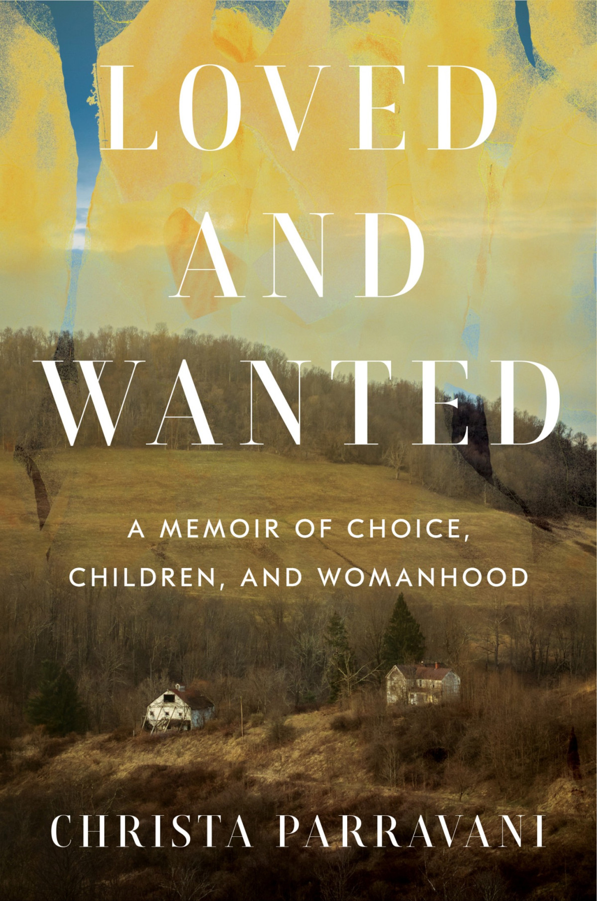 Loved And Wanted A Memoir Of Choice Children And Womanhood 1st Edition Christa Parravani Parravani