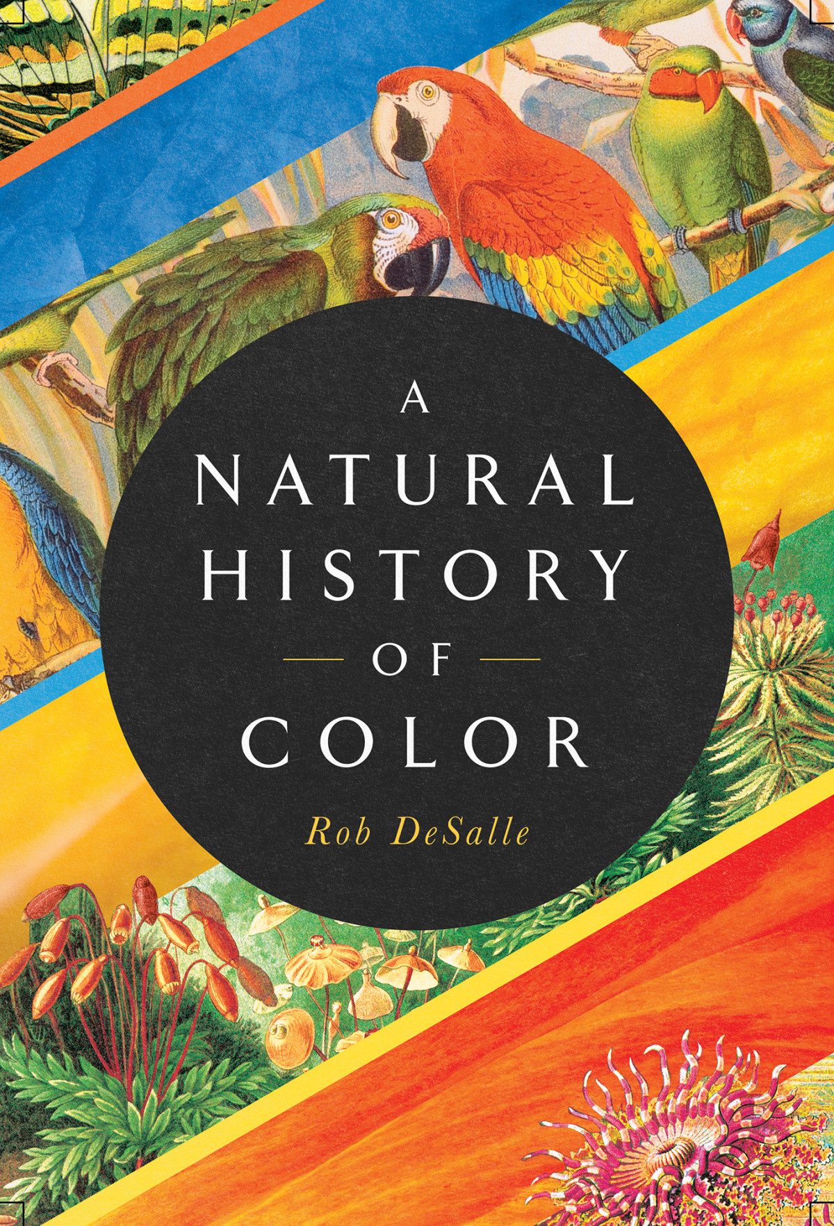 A Natural History Of Color The Science Behind What We See And How We See It 1st Edition Rob Desalle Desalle