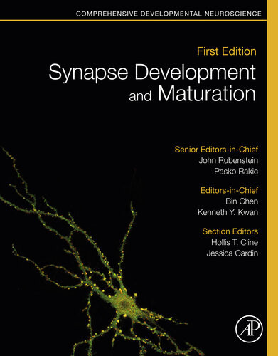 Synapse Development And Maturation Comprehensive Developmental Neuroscience 2nd Edition Pasko Rakic