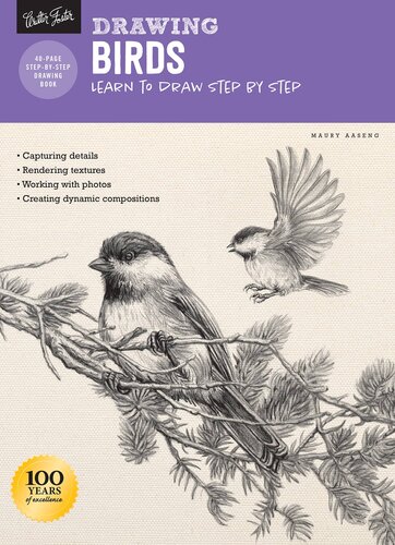 Drawing Birds Maury Aaseng