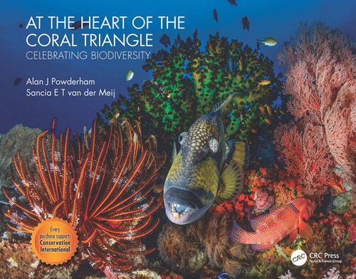 At The Heart Of The Coral Triangle Celebrating Biodiversity Alan J Powderham