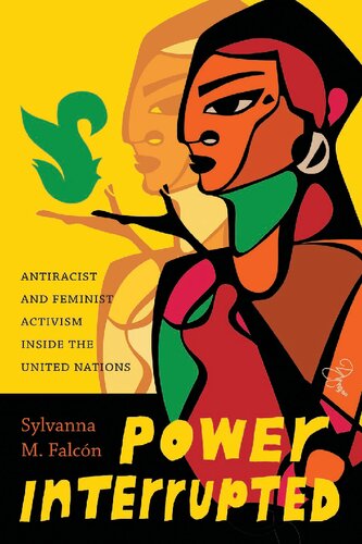 Power Interrupted Antiracist And Feminist Activism Inside The United Nations Sylvanna M Falcn