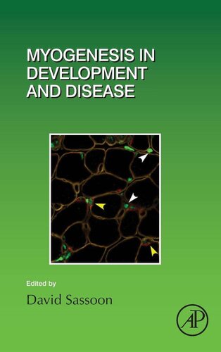Myogenesis In Development And Disease 1st Edition David Sassoon