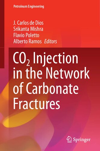 Co2 Injection In The Network Of Carbonate Fractures J Carlos De Dios