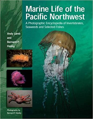 Marine Life Of The Pacific Northwest A Photographic Encyclopedia Of Invertebrates Seaweeds And Selected Fishes 1st Edition Andy Lamb