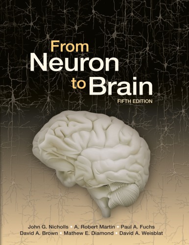 From Neuron To Brain 5th Edition Nicholls John Gcontributormartin