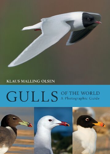 Gulls Of The World A Photographic Guide Klaus Malling Olsen