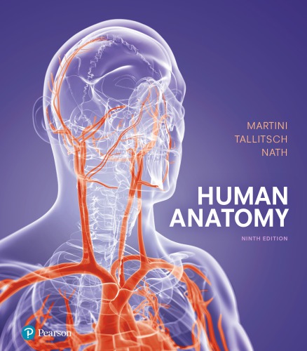Human Anatomy 9th Edition Martini Frederic Htallitsch Robert Bcontributornath