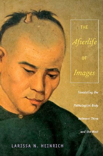 The Afterlife Of Images Translating The Pathological Body Between China And The West 1st Edition Ari Larissa Heinrich