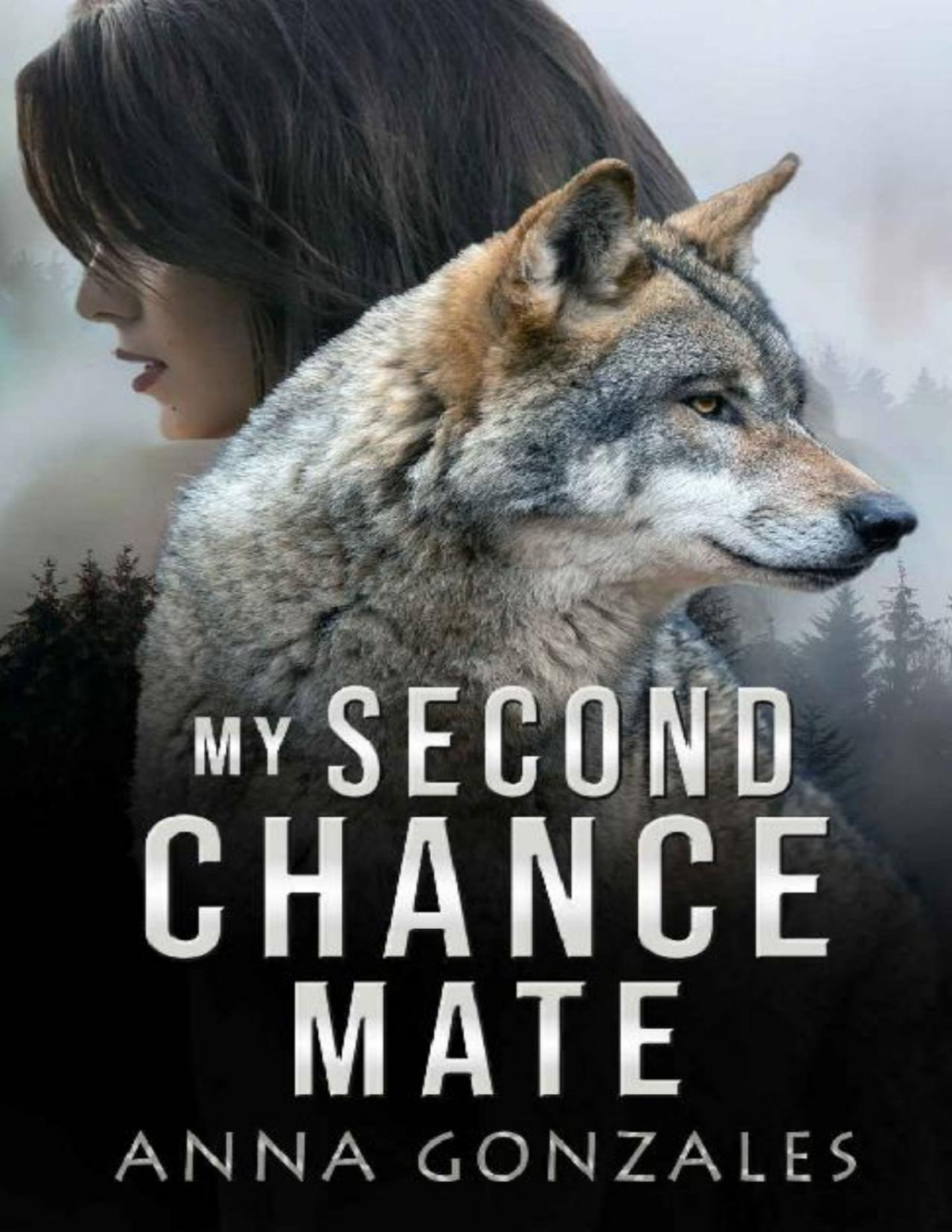 My Second Chance Mate A Shifter Romance Anna Gonzales Gonzales