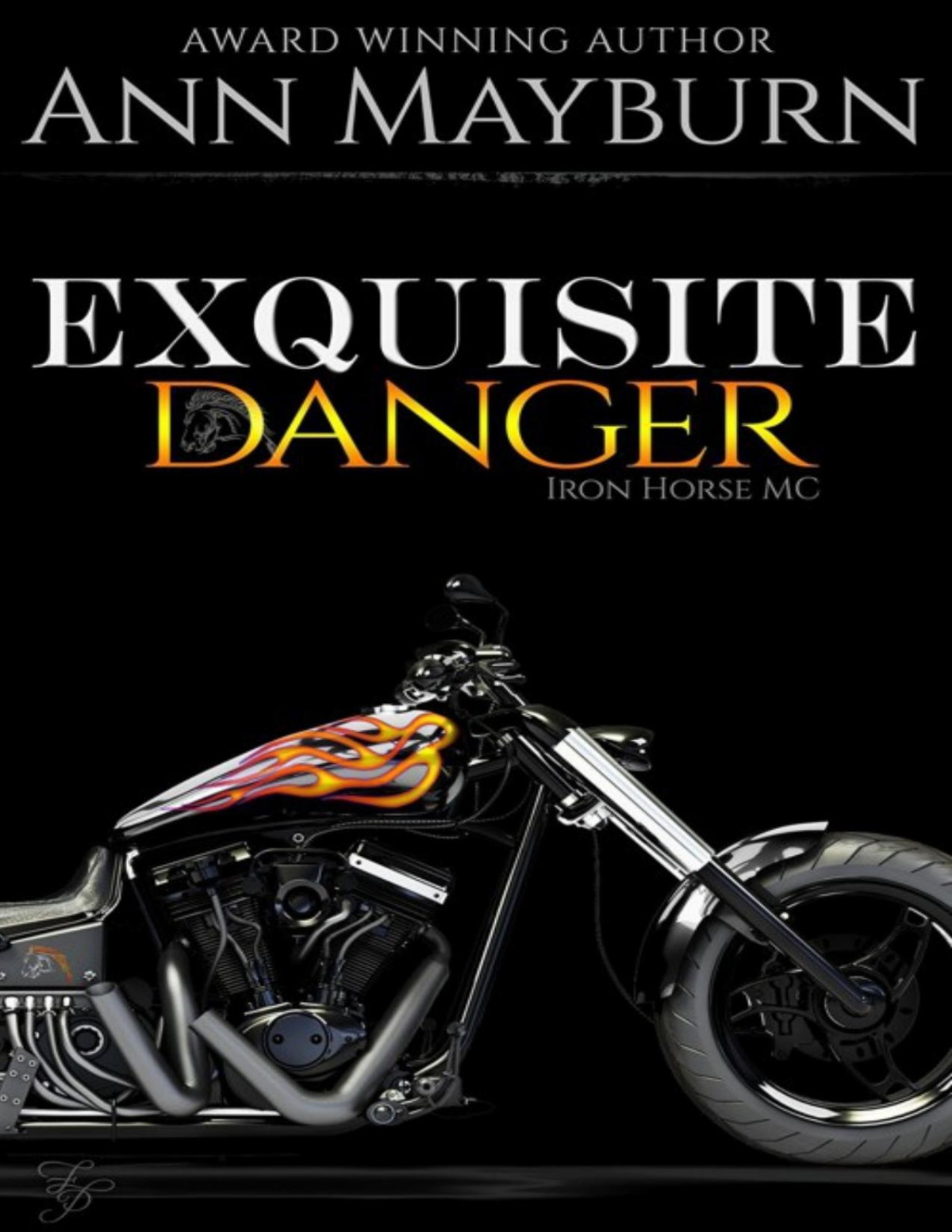 Exquisite Danger Ann Mayburn Mayburn Ann