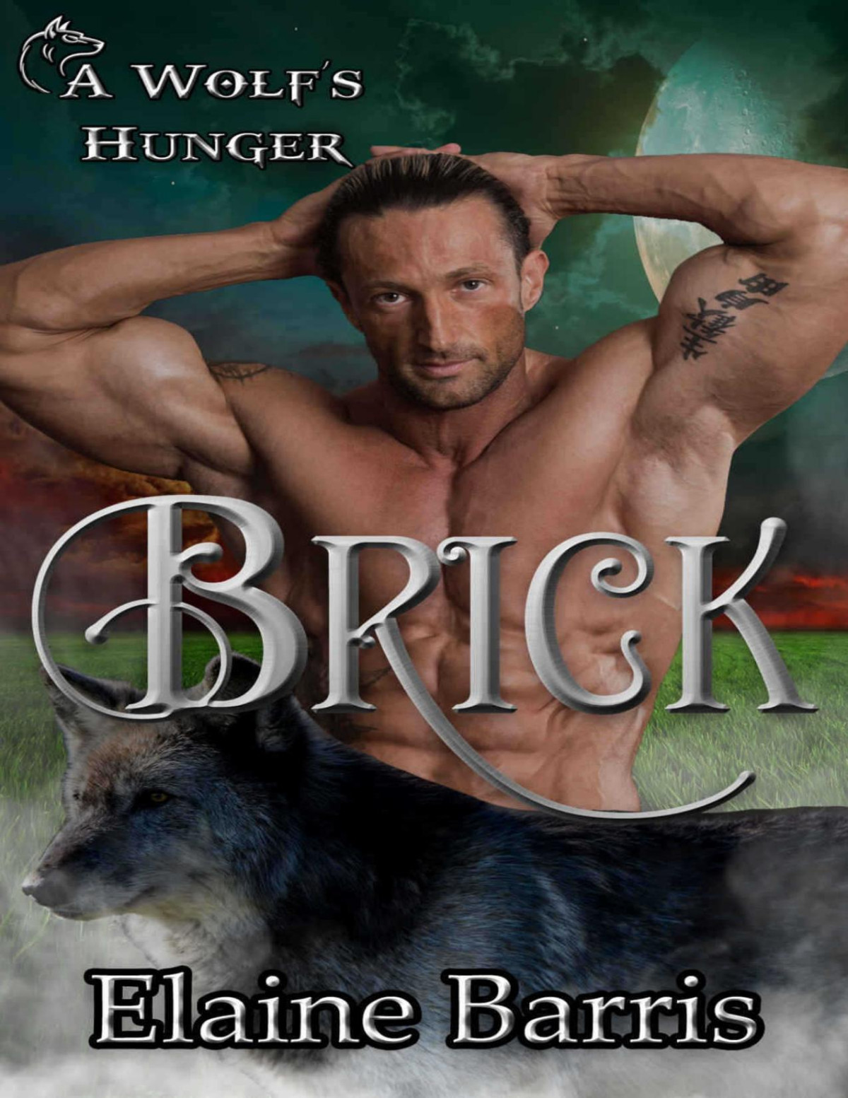 Brick A Wolfs Hunger Alpha Shifter Romance A Wolfs Hunger Book 11 Michaels
