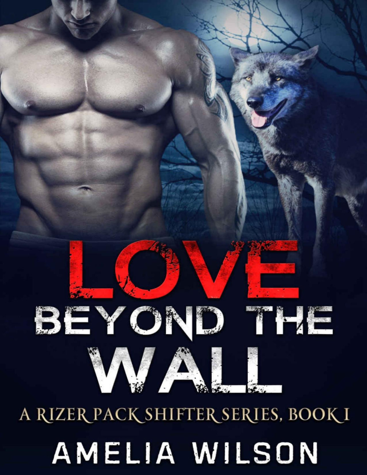 Love Beyond The Wall A Rizer Pack Shifter Series Book 1 Amelia Wilson Wilson
