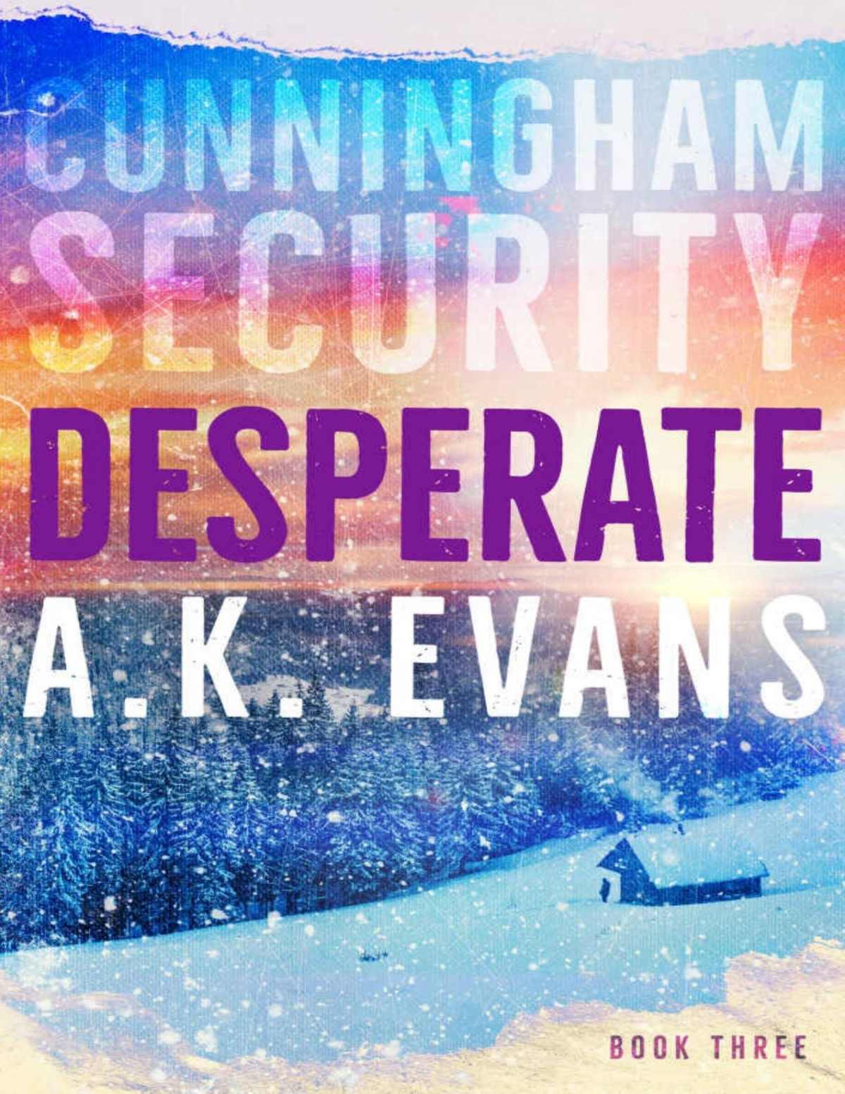 Desperate Cunningham Security Series Book 3 Ak Evans Evans