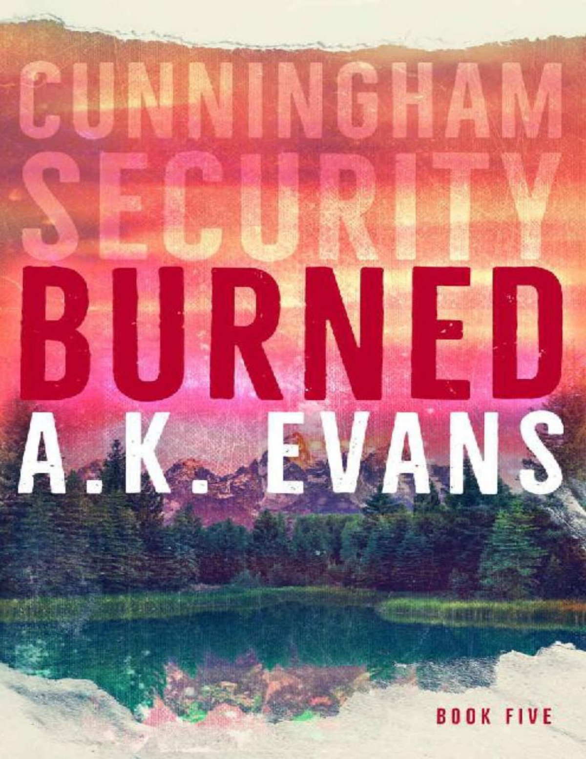 Burned Cunningham Security Book 5 Ak Evans Evans Ak