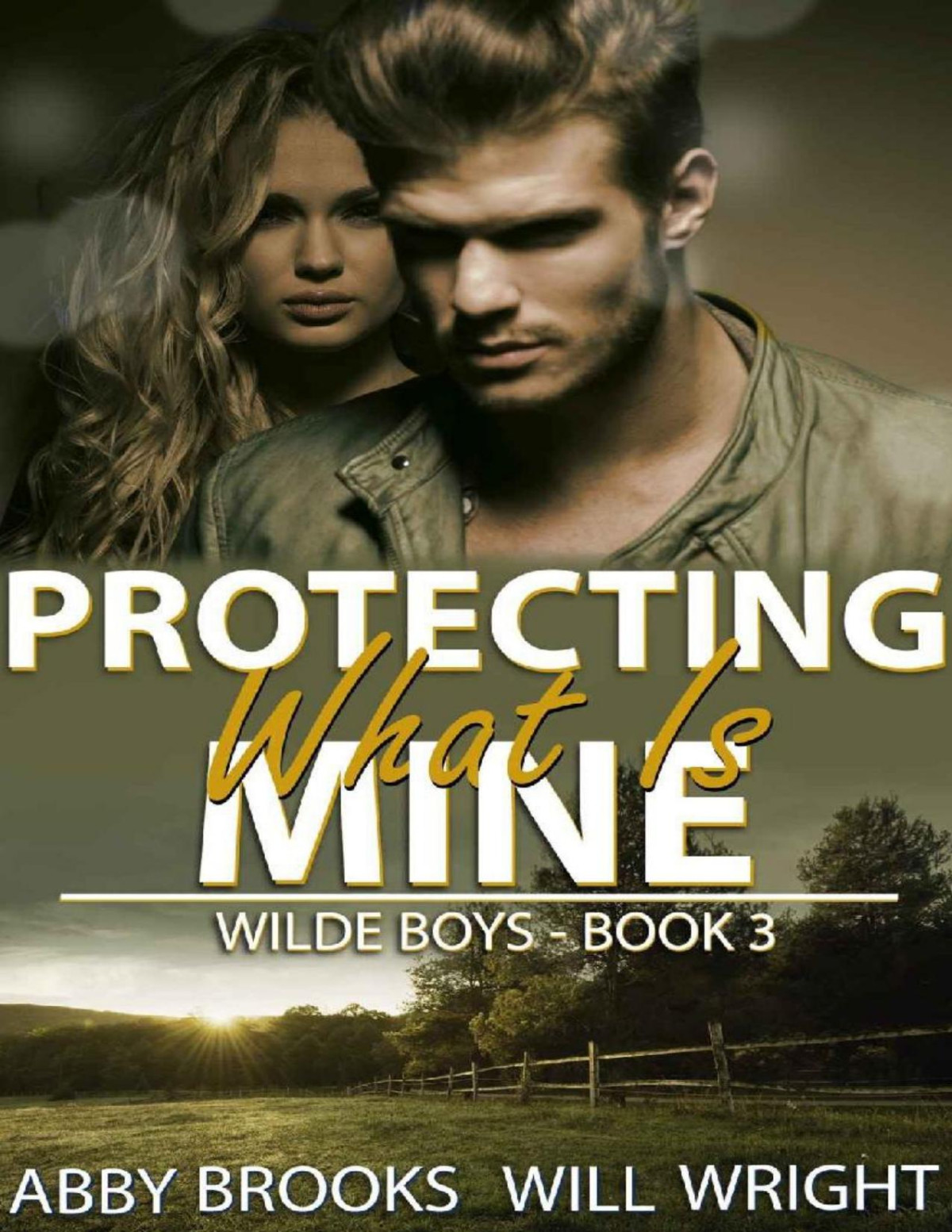 Protecting What Is Mine Wilde Boys Book 3 Abby Brooks Will Wright Brooks