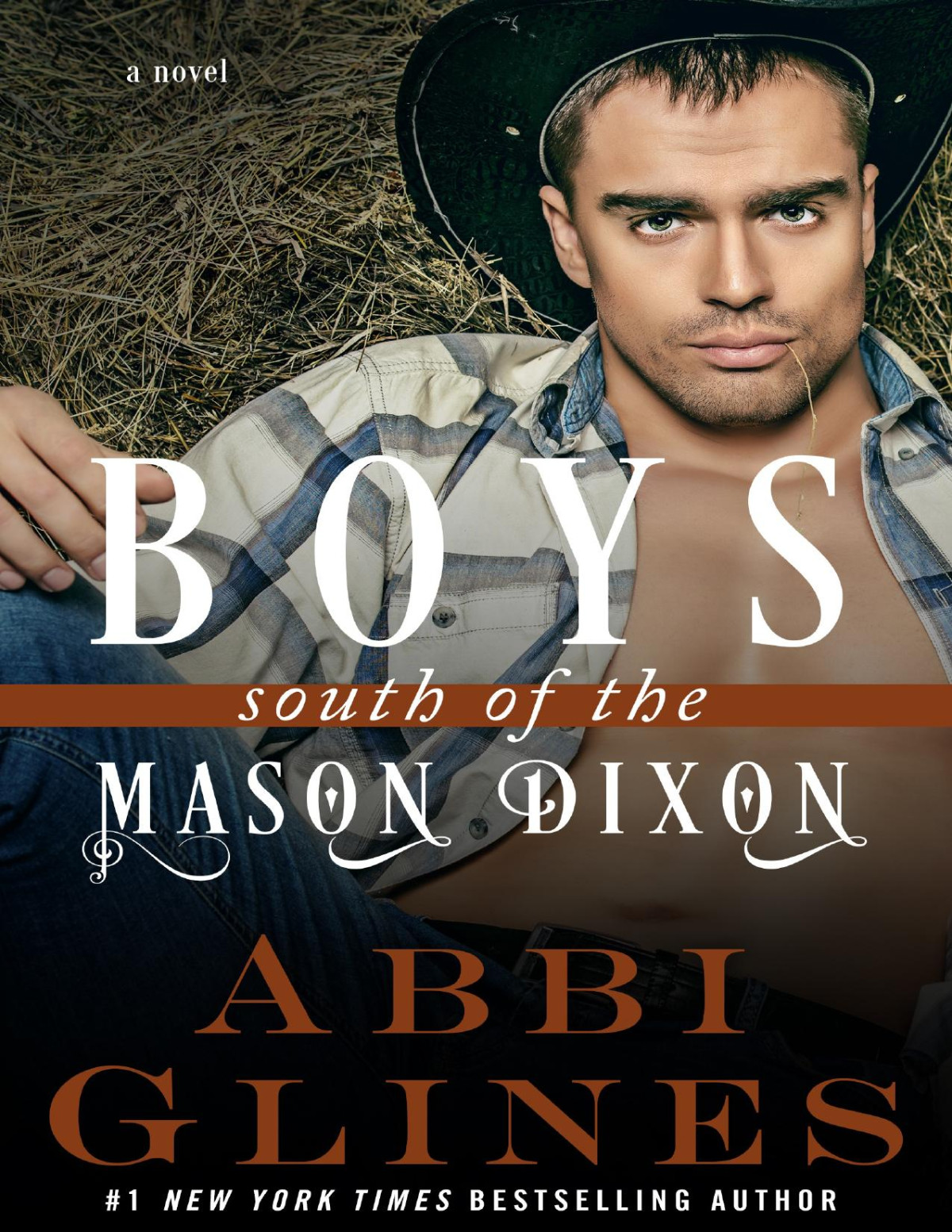 Boys South Of The Mason Dixon Abbi Glines Glines Abbi