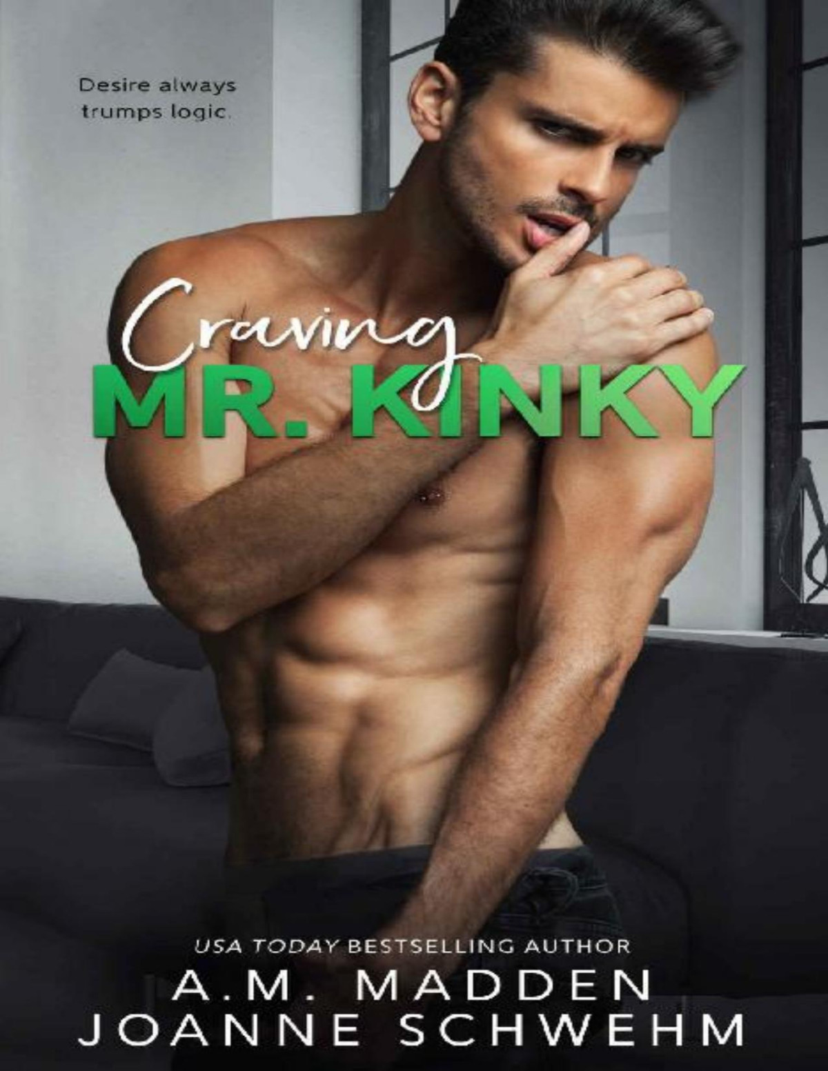 Craving Mr Kinky The Mr Wrong Series Book 4 Am Madden Joanne Schwehm Madden