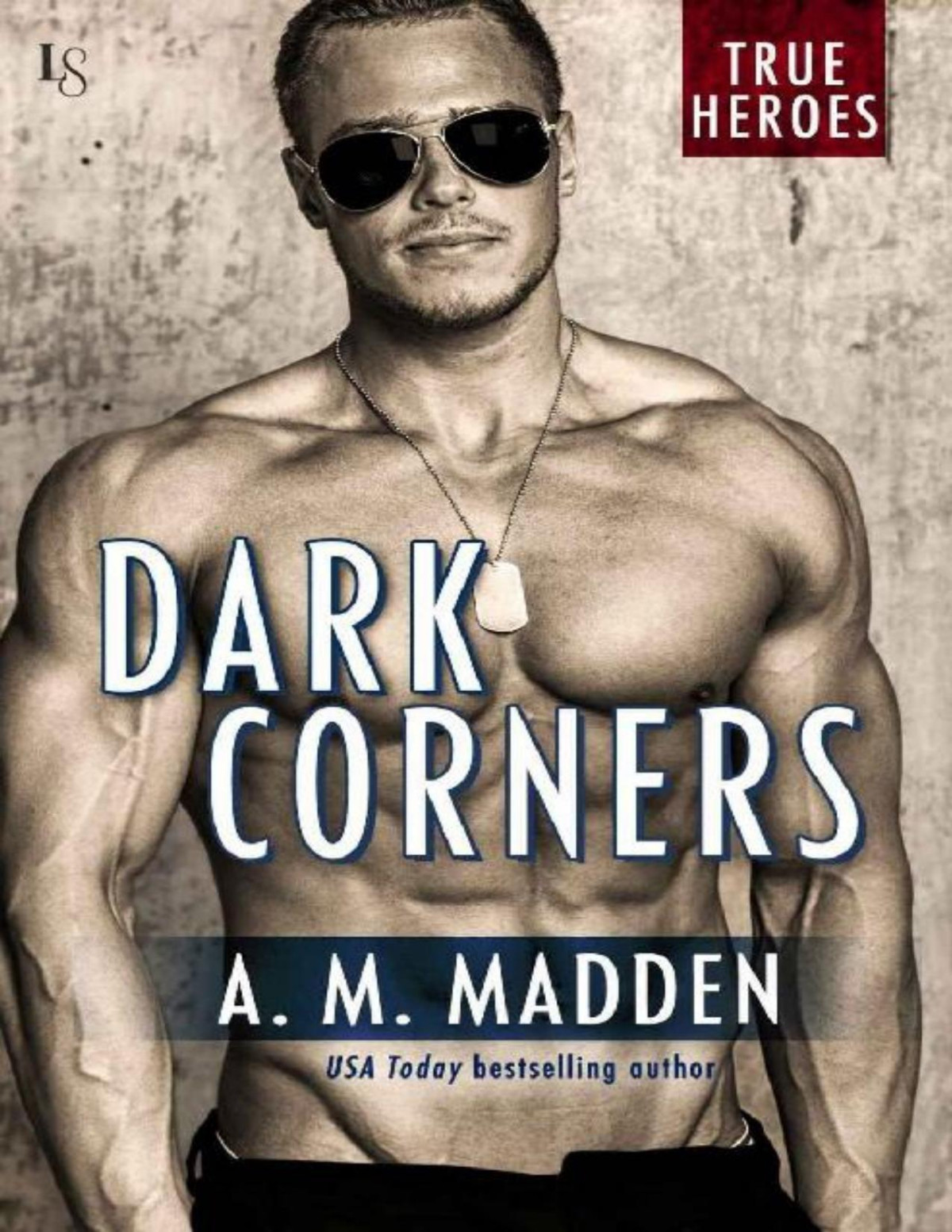 Dark Corners A True Heroes Novel True Heroes Series Book 3 A M Madden Madden