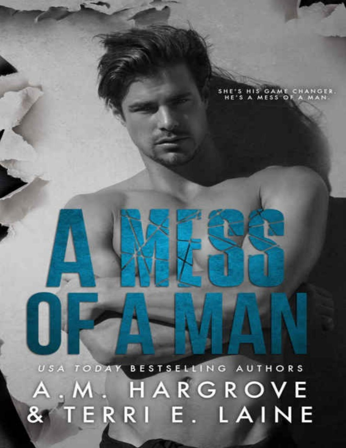 A Mess Of A Man A M Hargrove Terri E Laine Hargrove A M Laine