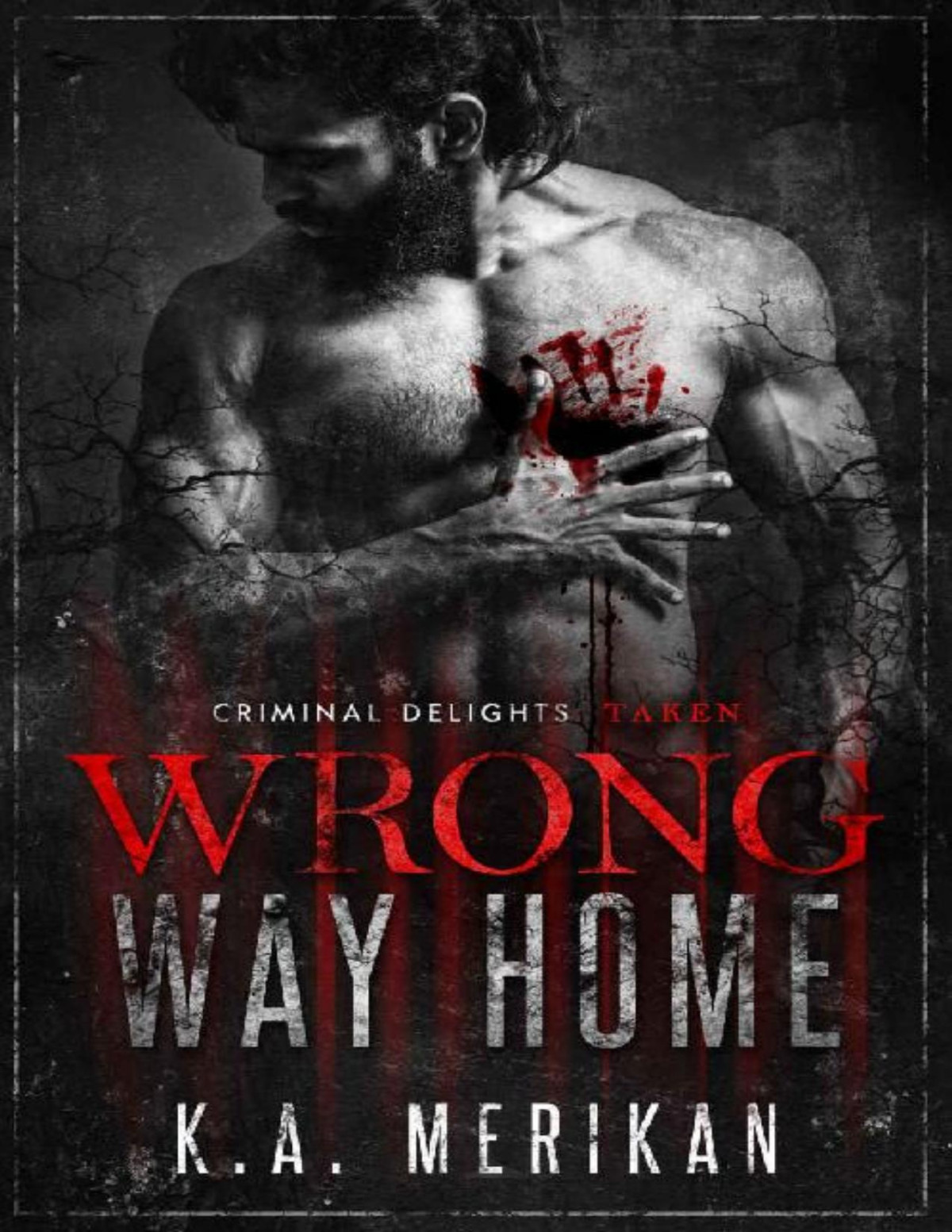 Wrong Way Home Taken Criminal Delights 1 Ka Merikan
