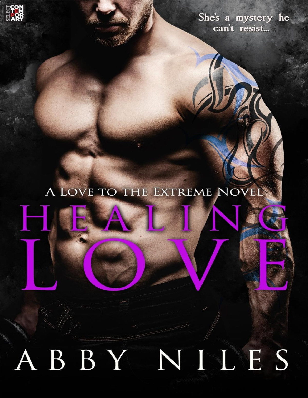 Healing Love Love To The Extreme Abby Niles Niles Abby