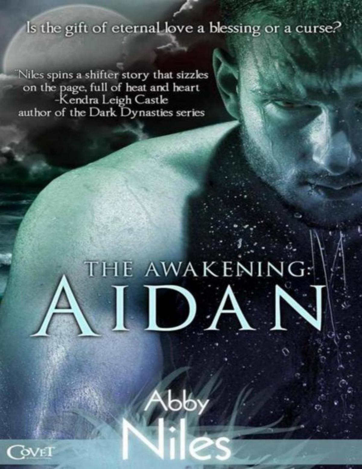 The Awakening Aidan Abby Niles