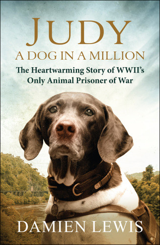Judy A Dog In A Million Lewis Damien