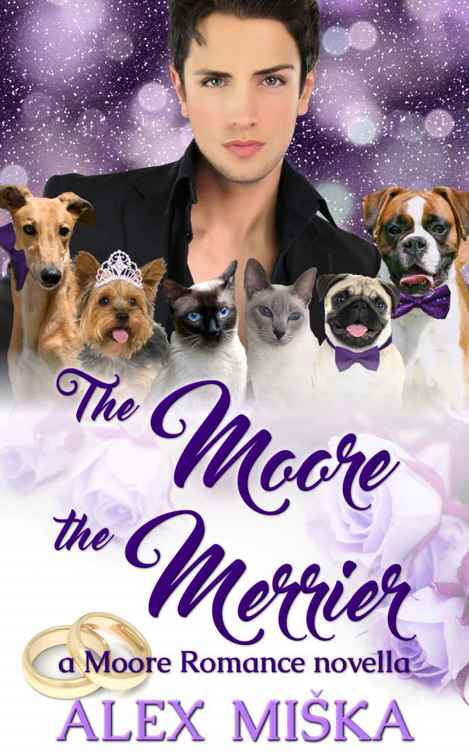 The Moore The Merrier Alex Miska V Soffer Miska Alex Soffer