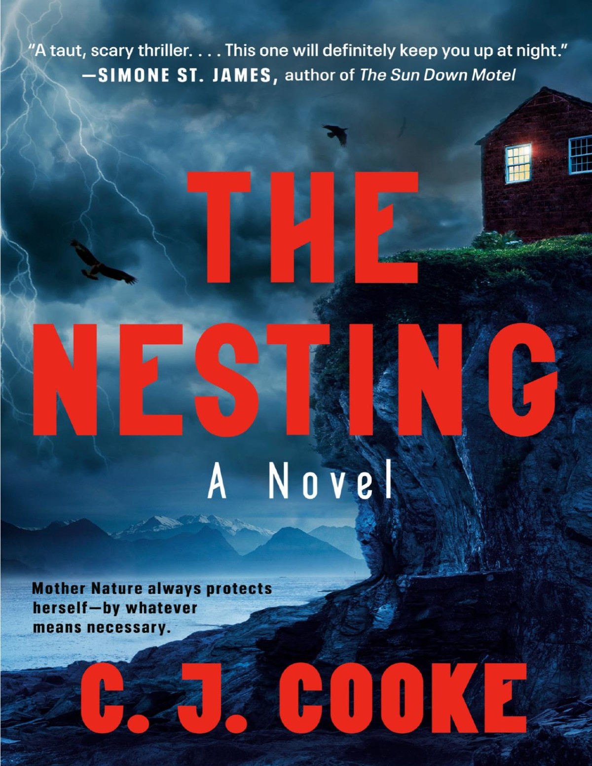 The Nesting C J Cooke