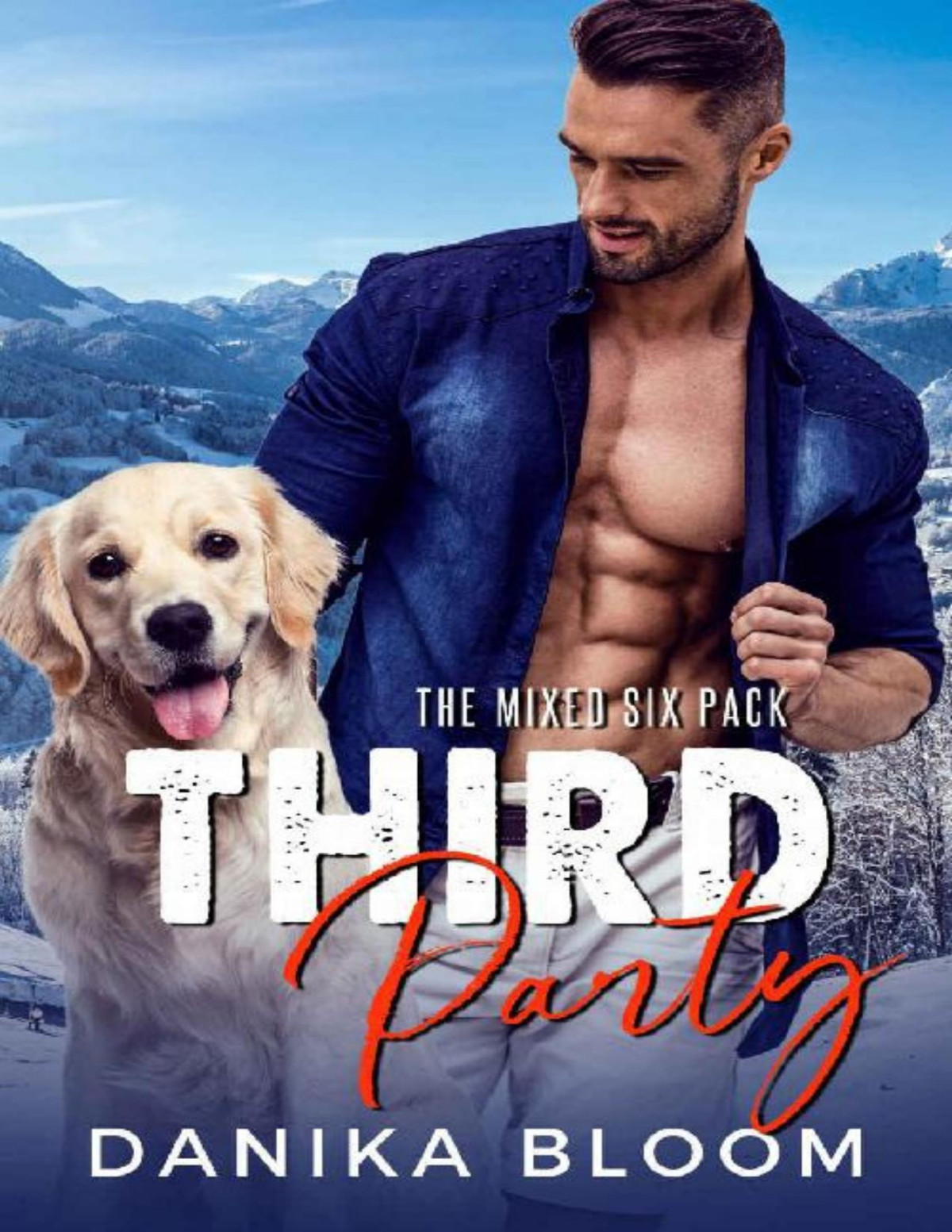 Third Party A Second Chance Holiday Romance The Mixed Sixpack Book 3 Danika Bloom Bloom