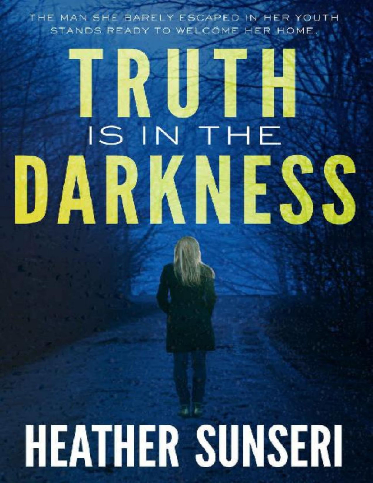 Truth Is In The Darkness Paynes Creek Thriller Book 2 Heather Sunseri Sunseri