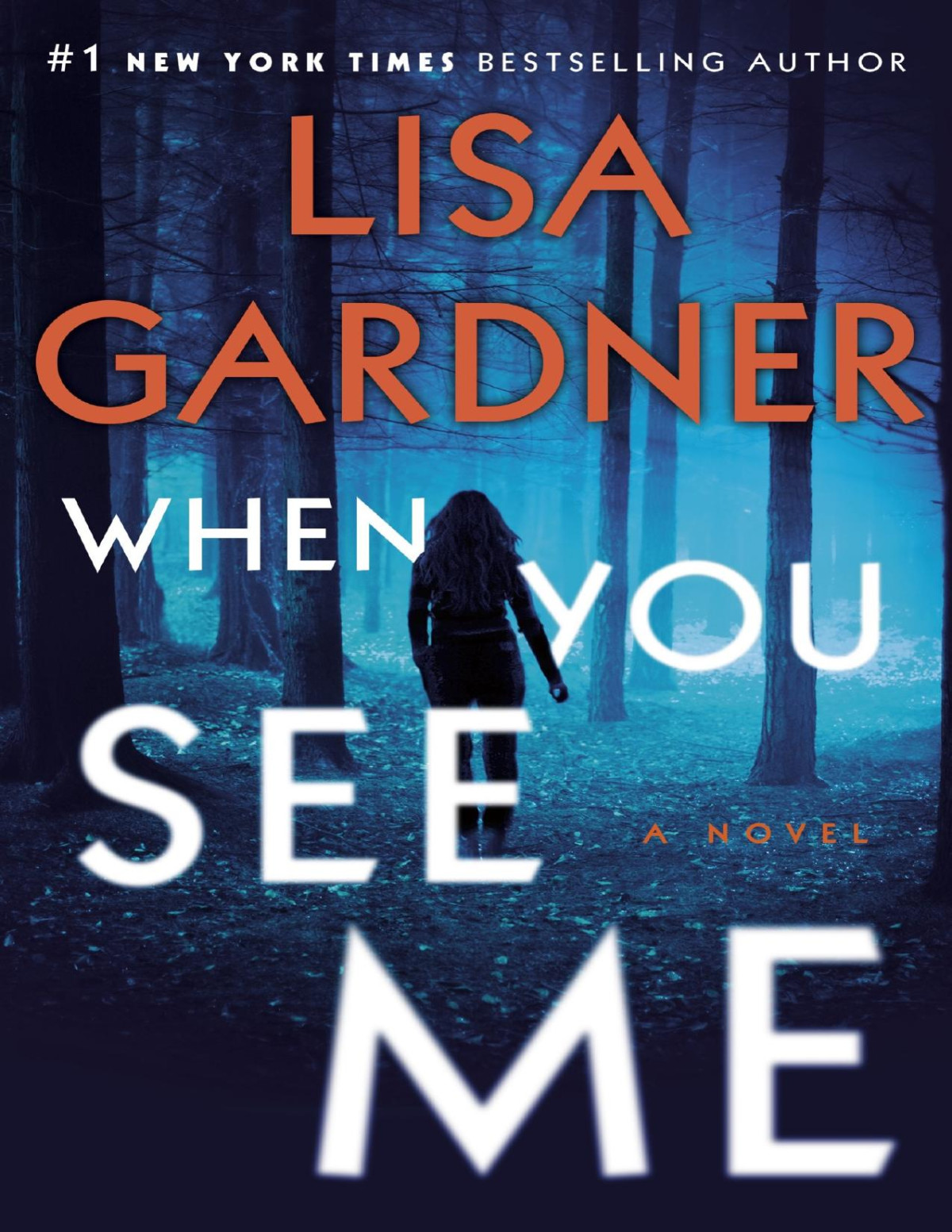When You See Me Lisa Gardner