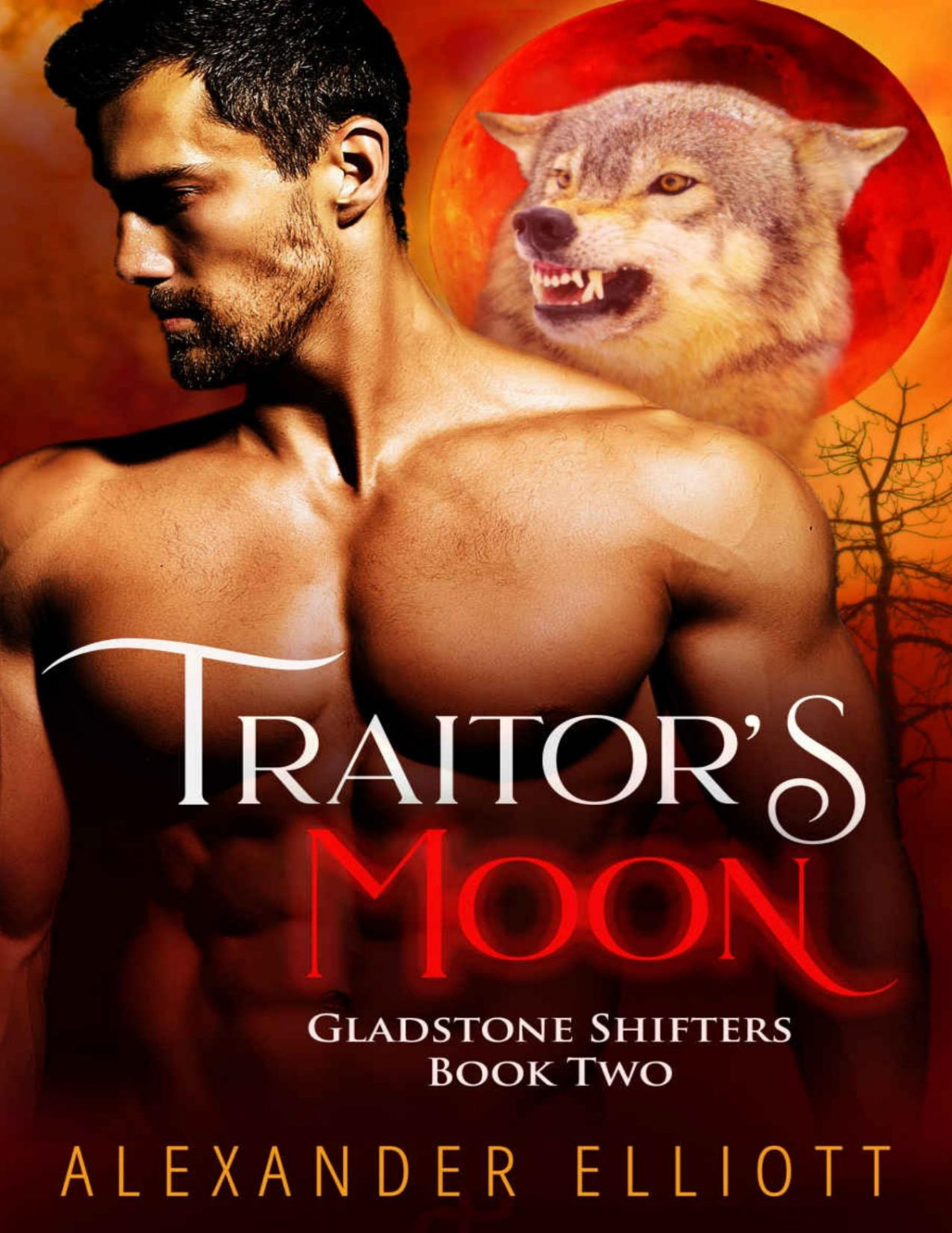 Traitors Moon An Mm Gay Paranormal Romance Gladstone Shifters Book 2 Alexander Elliott