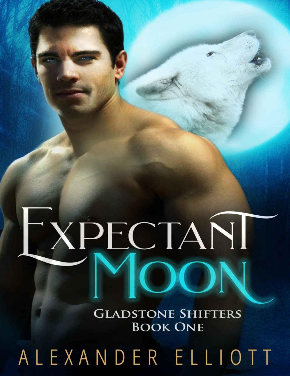 Expectant Moon An Mm Gay Paranormal Romance Gladstone Shifters Book 1 Alexander Elliott