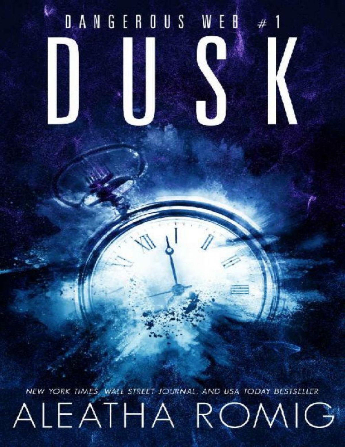 Dusk Dangerous Web Book 1 Aleatha Romig Romig Aleatha