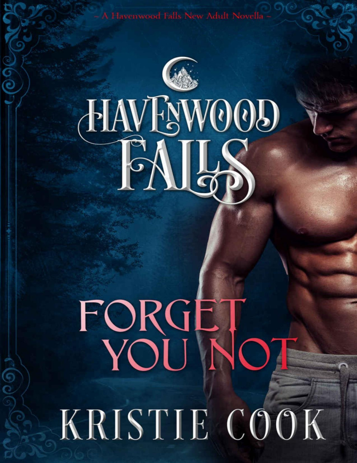 Forget You Not Havenwood Falls Book 1 Kristie Cook Havenwood Falls Collective Cook