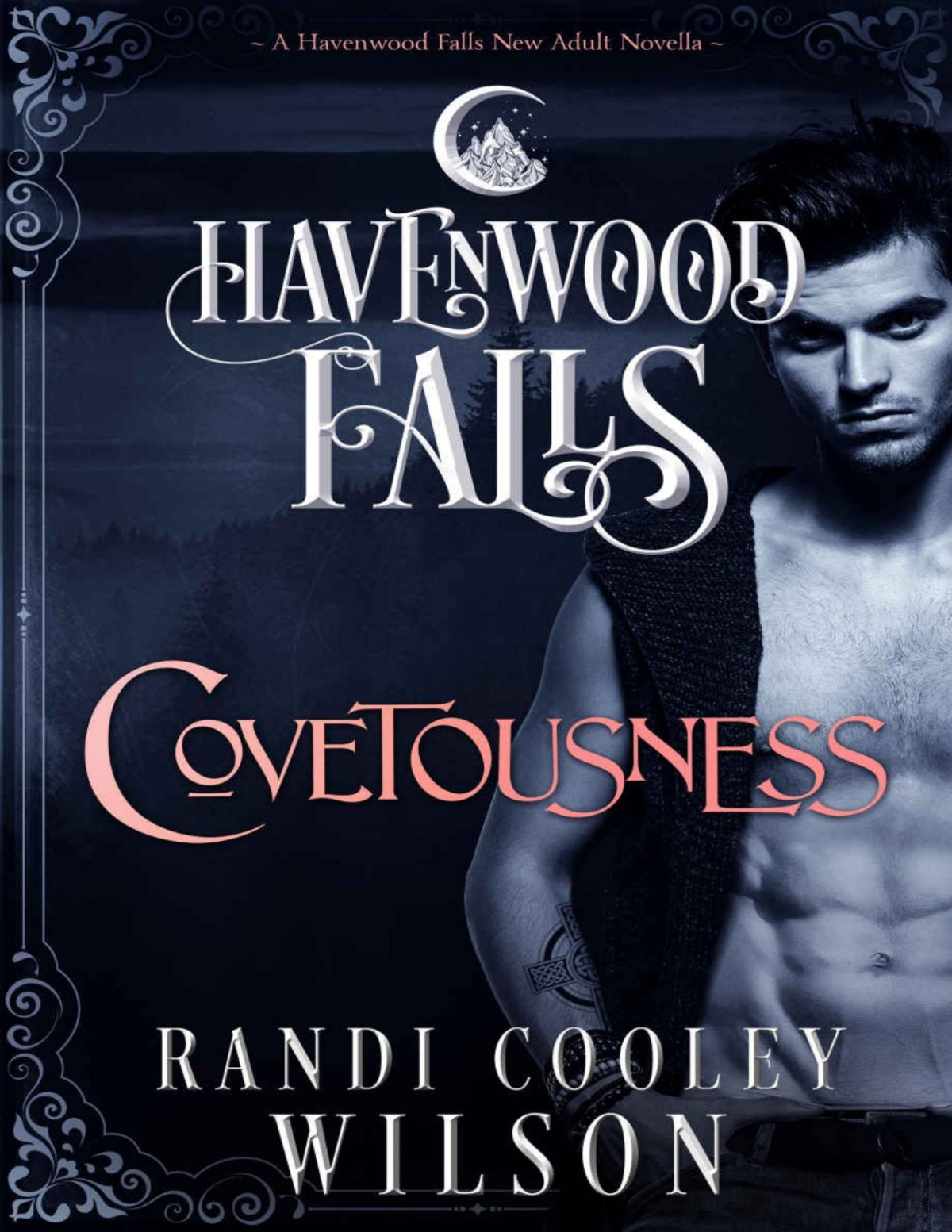 Covetousness Havenwood Falls Book 4 Randi Cooley Wilson Havenwood Falls Collective Cooley Wilson