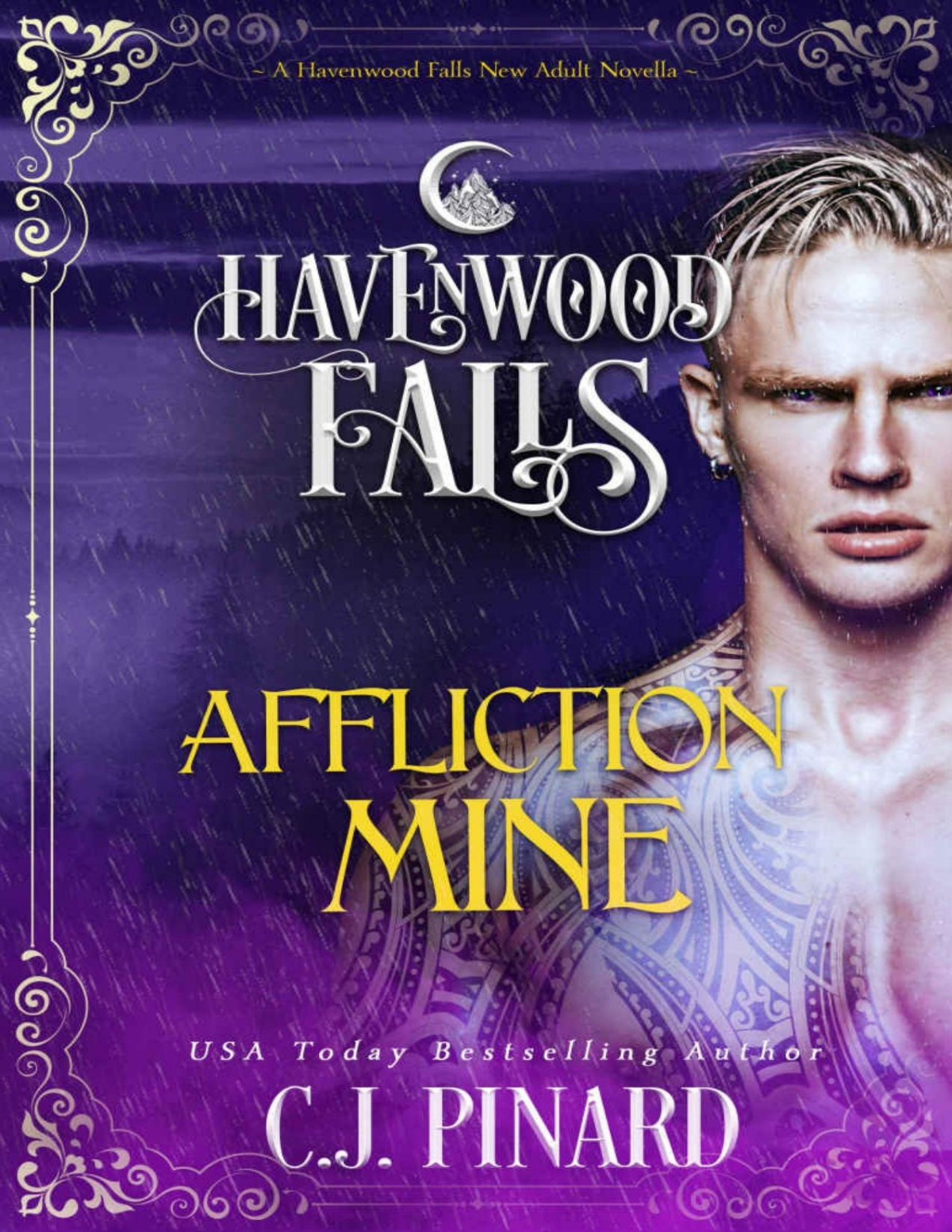 Affliction Mine Havenwood Falls Book 21 Cj Pinard Havenwood Falls Collective Pinard