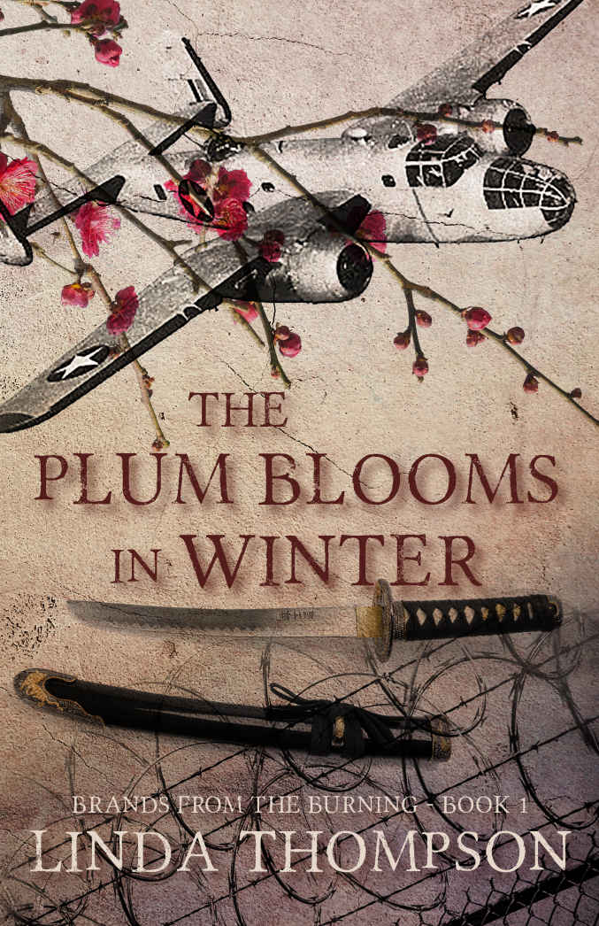 The Plum Blooms In Winter Inspired By Gripping True Story From World War Iis Daring Doolittle Raid Brands From The Burning 1 Linda Thompson Thompson