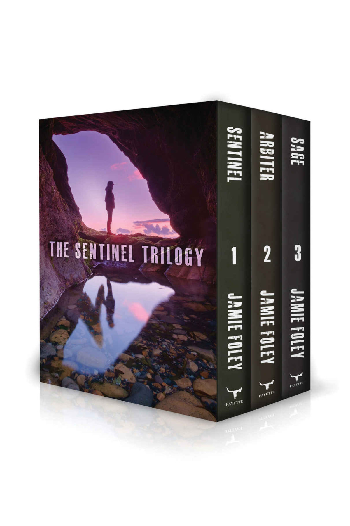 The Sentinel Trilogy Box Set 1st Edition Jamie Foley Foley