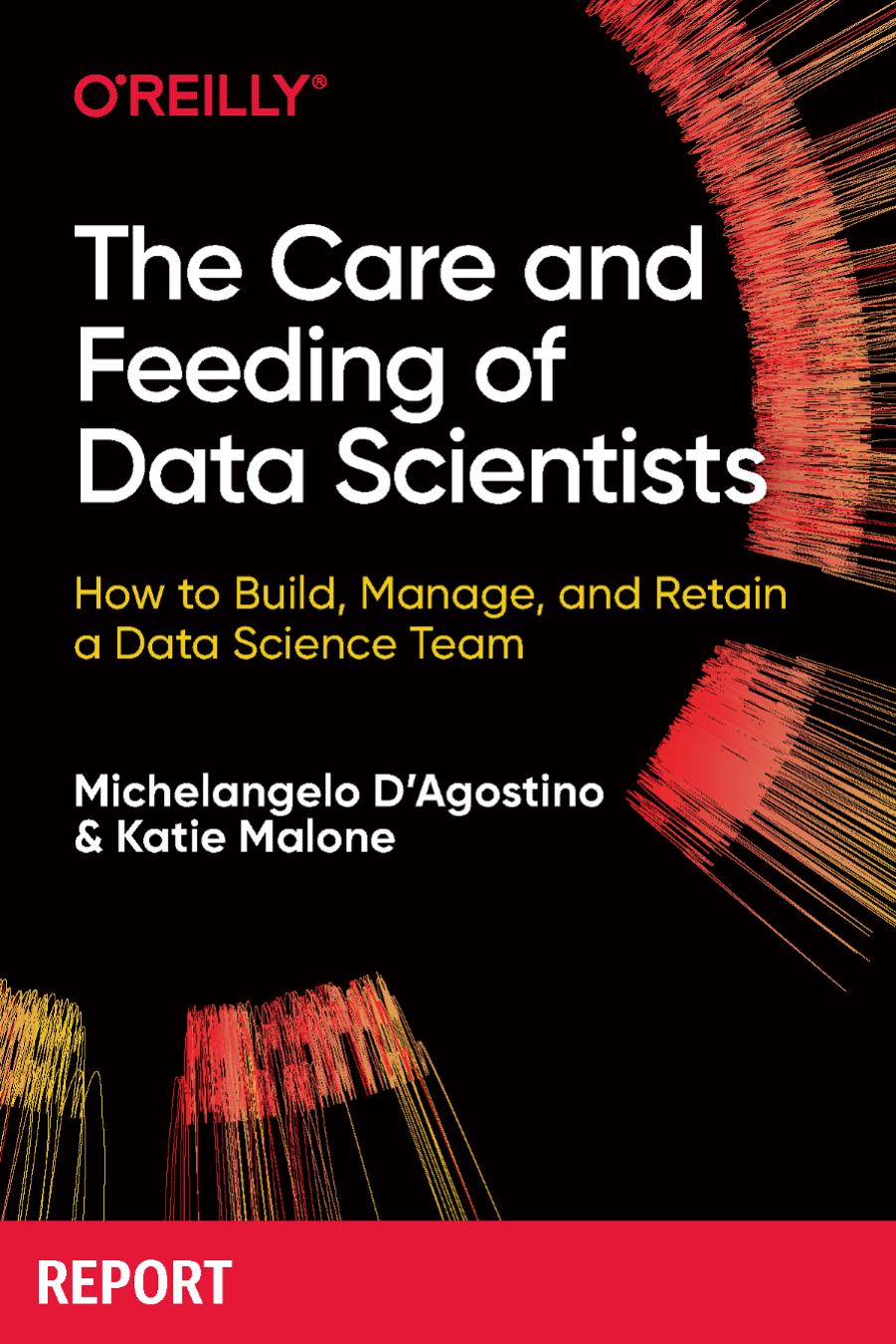 The Care And Feeding Of Data Scientists 1st Edition Michelangelo Dagostino