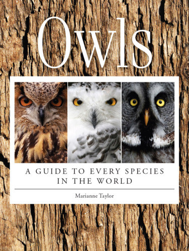 Owls A Guide To Every Species In The World 1st Edition Taylor