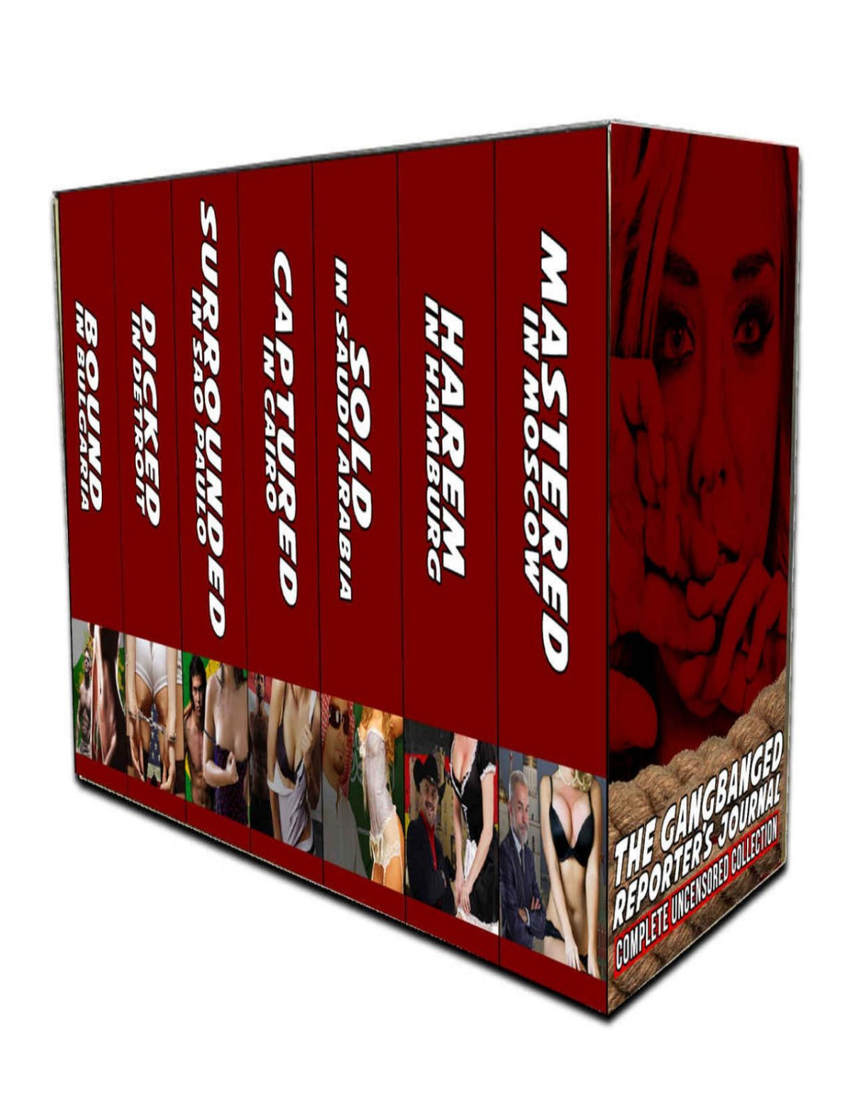 The Gangbanged Reporters Journal The Complete Uncensored Collection 1st Edition Amanda Clover